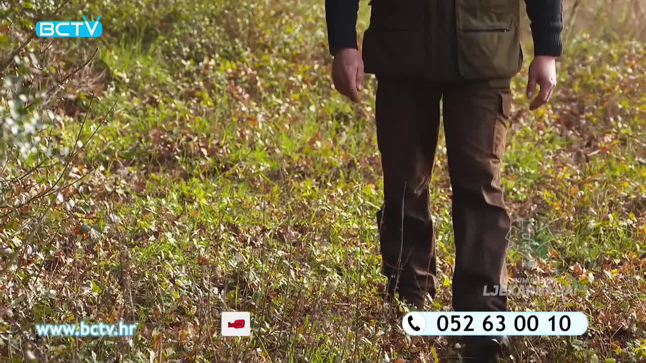 DomaTV