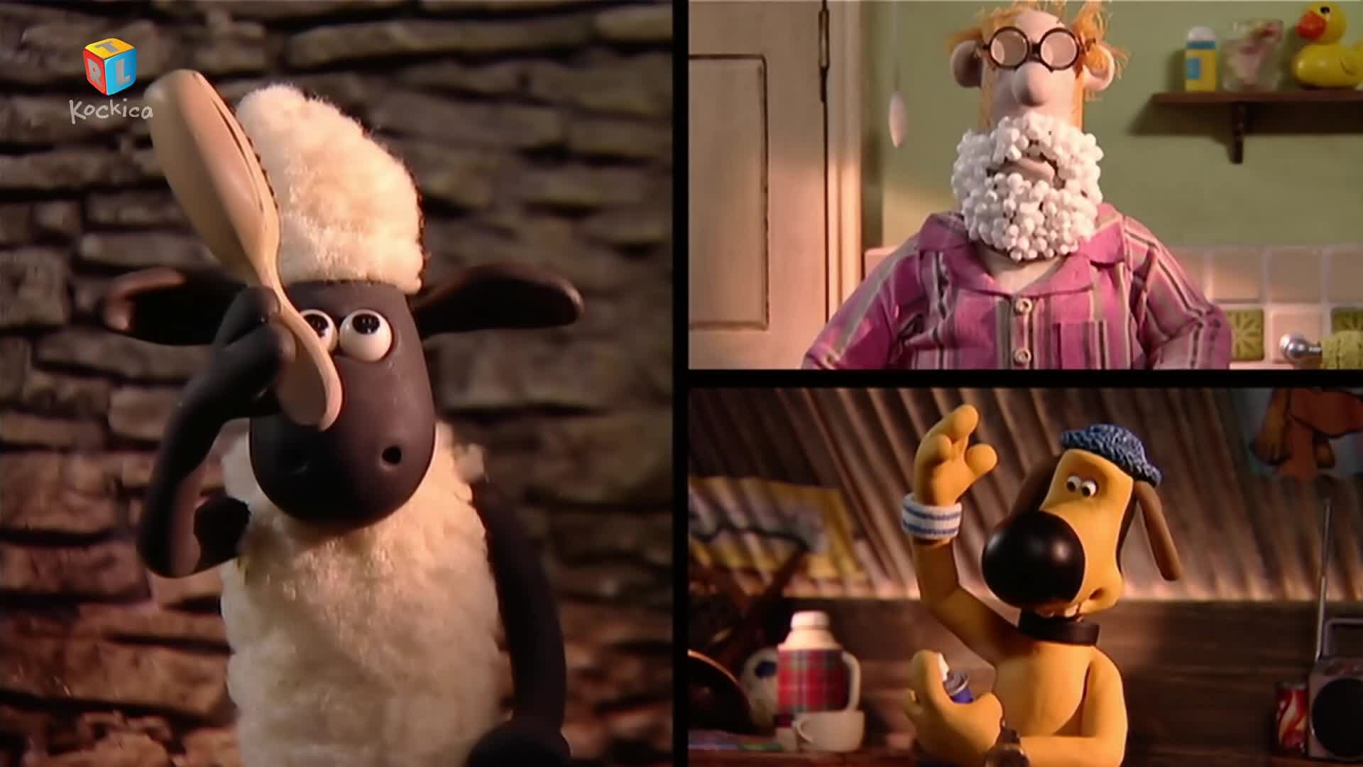 RTLKockica