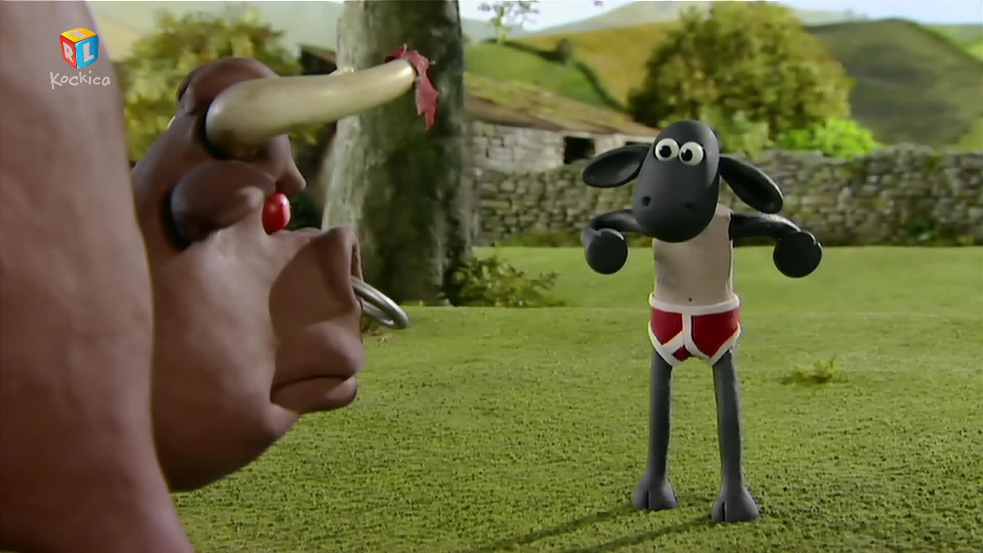 RTLKockica