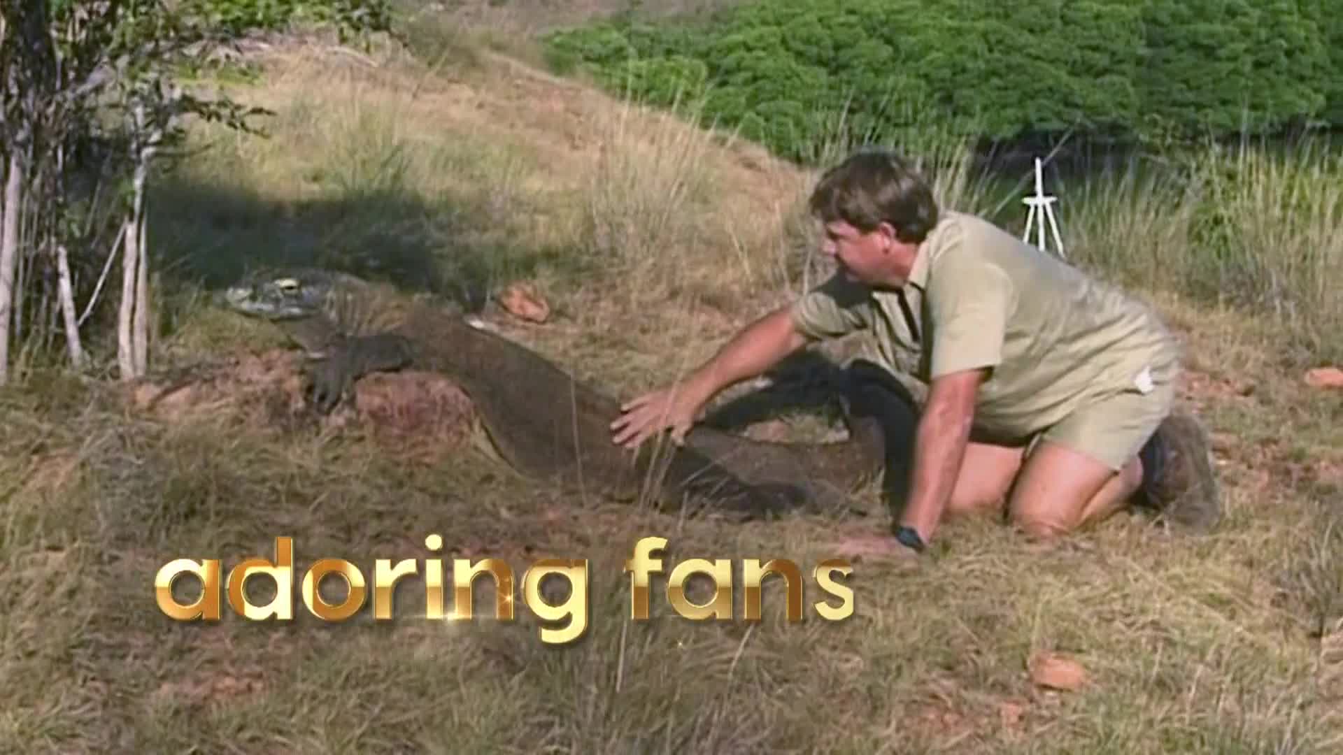 AnimalPlanet