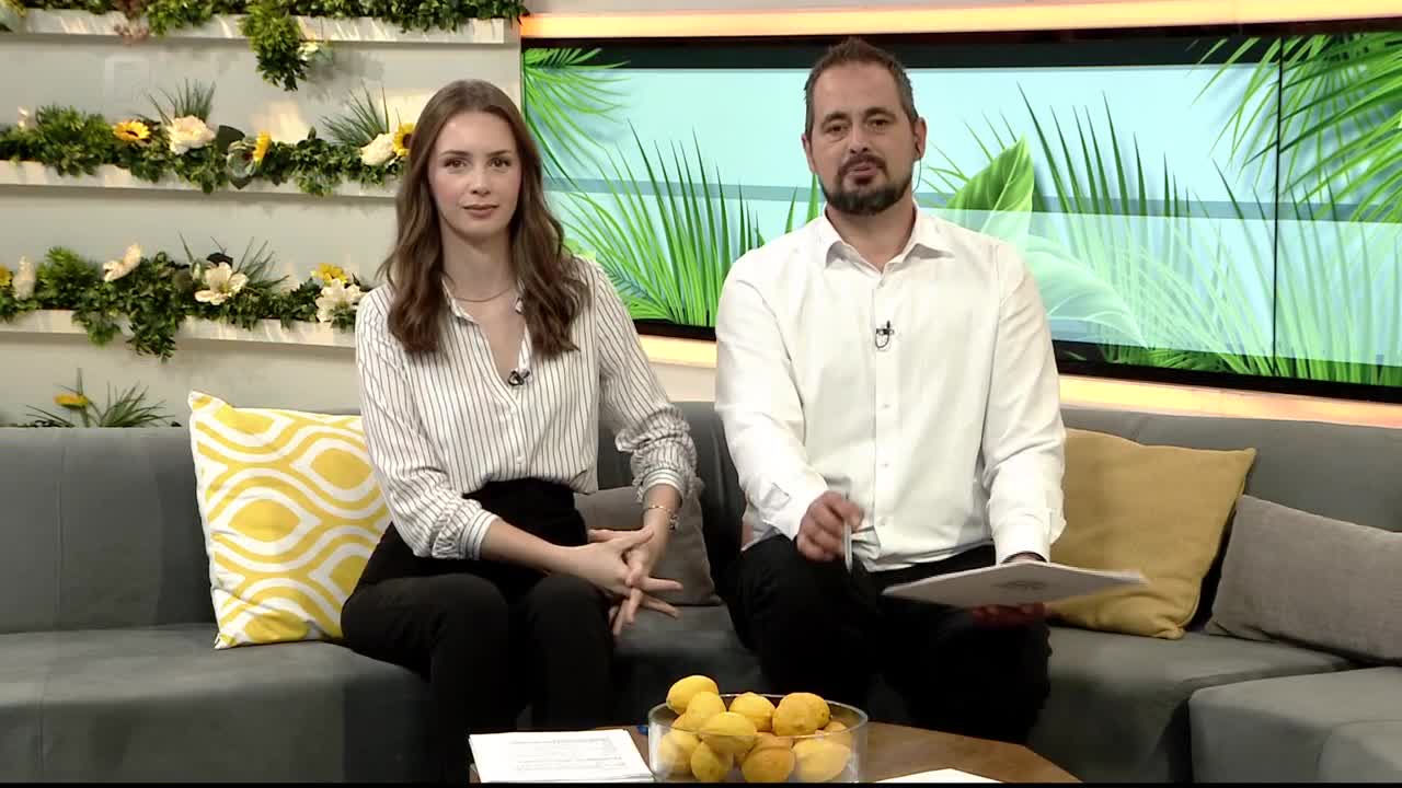 FTV