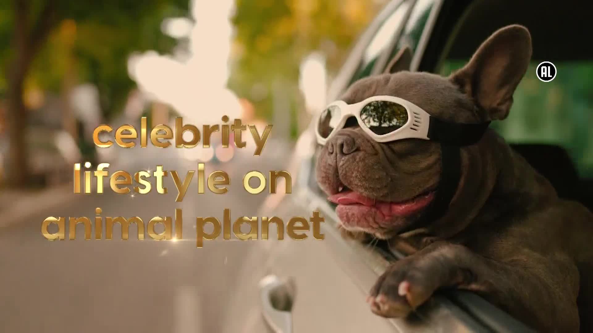 AnimalPlanet