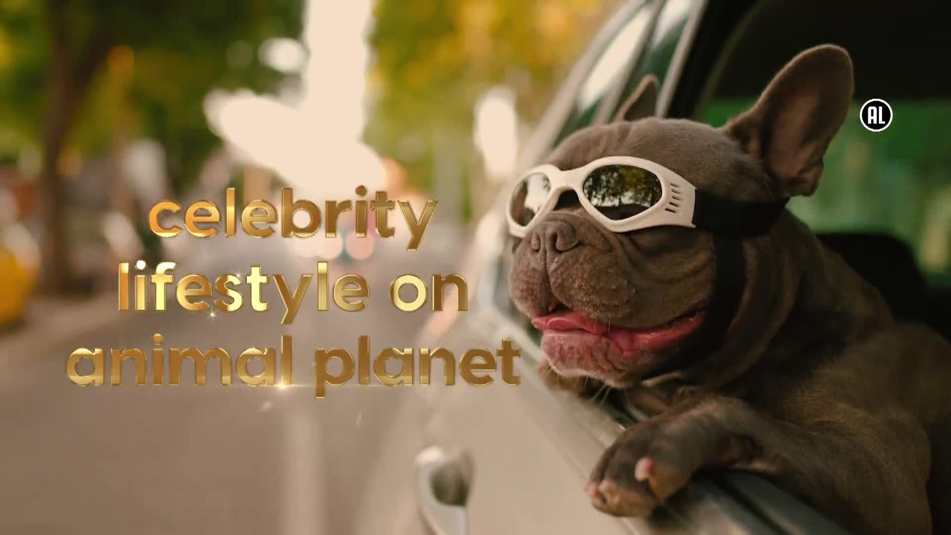 AnimalPlanet