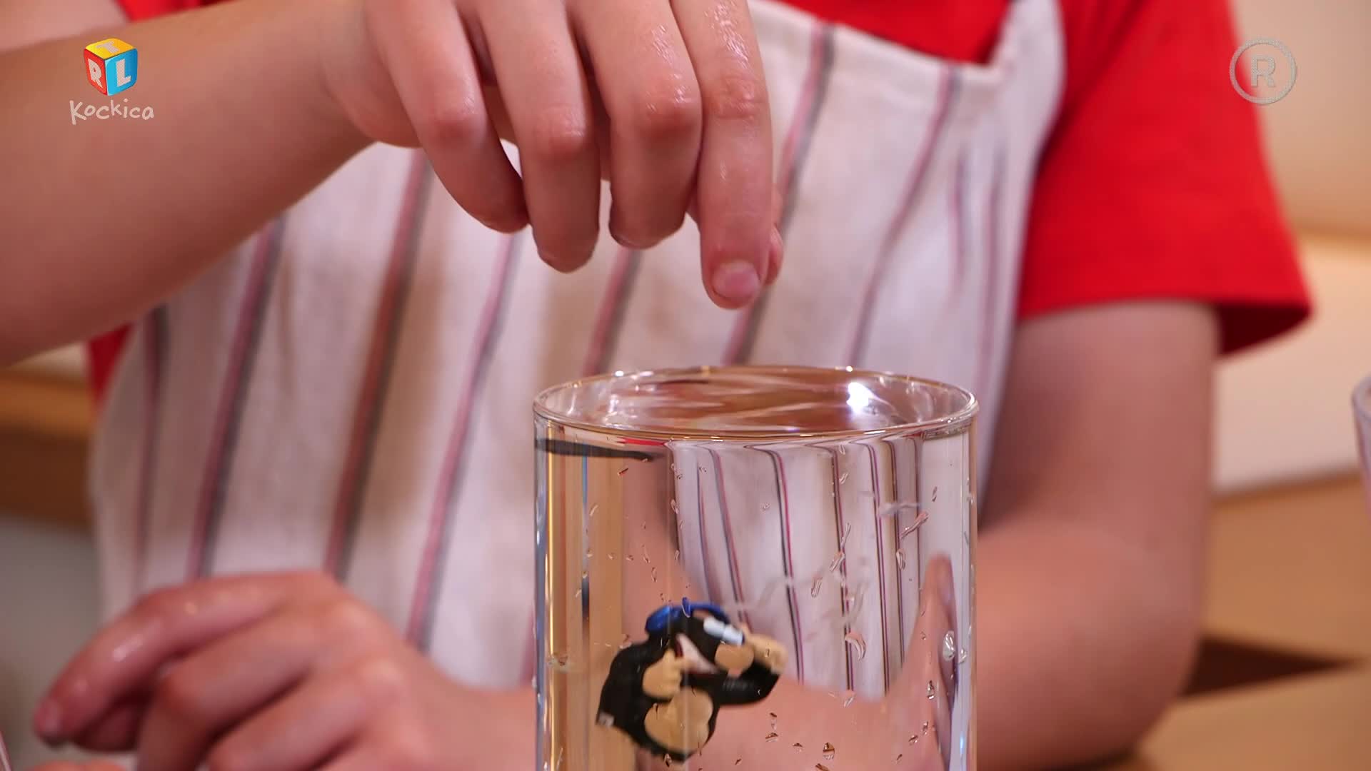 RTLKockica