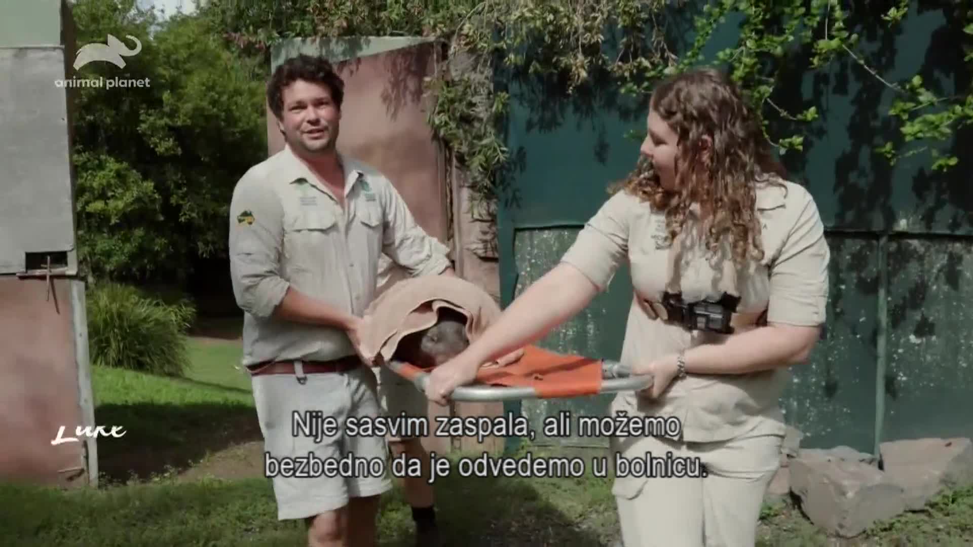 AnimalPlanet