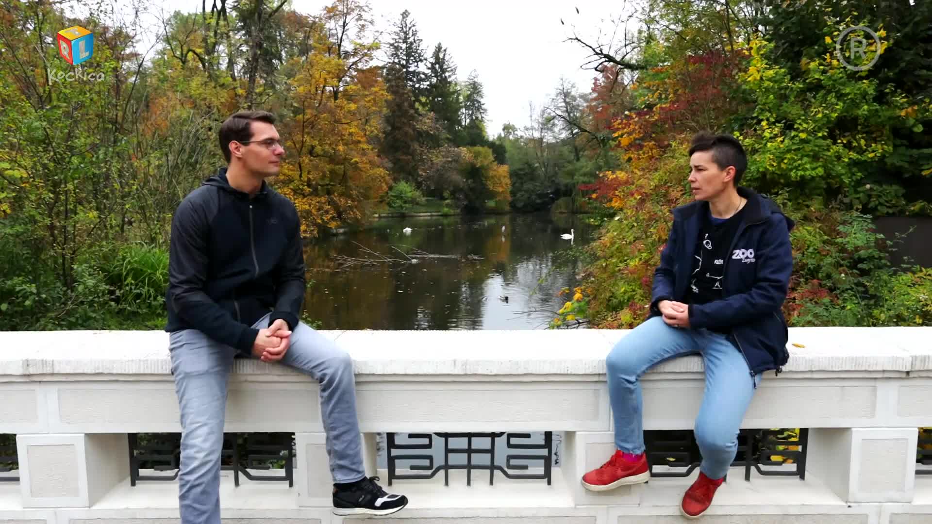 RTLKockica