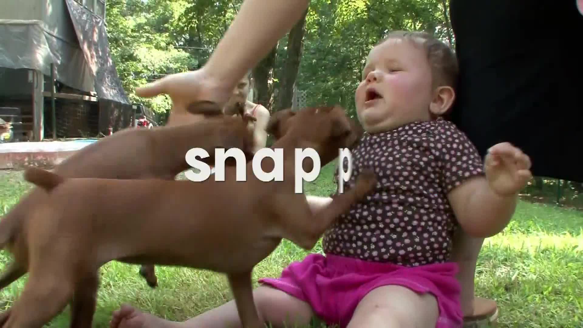 AnimalPlanet