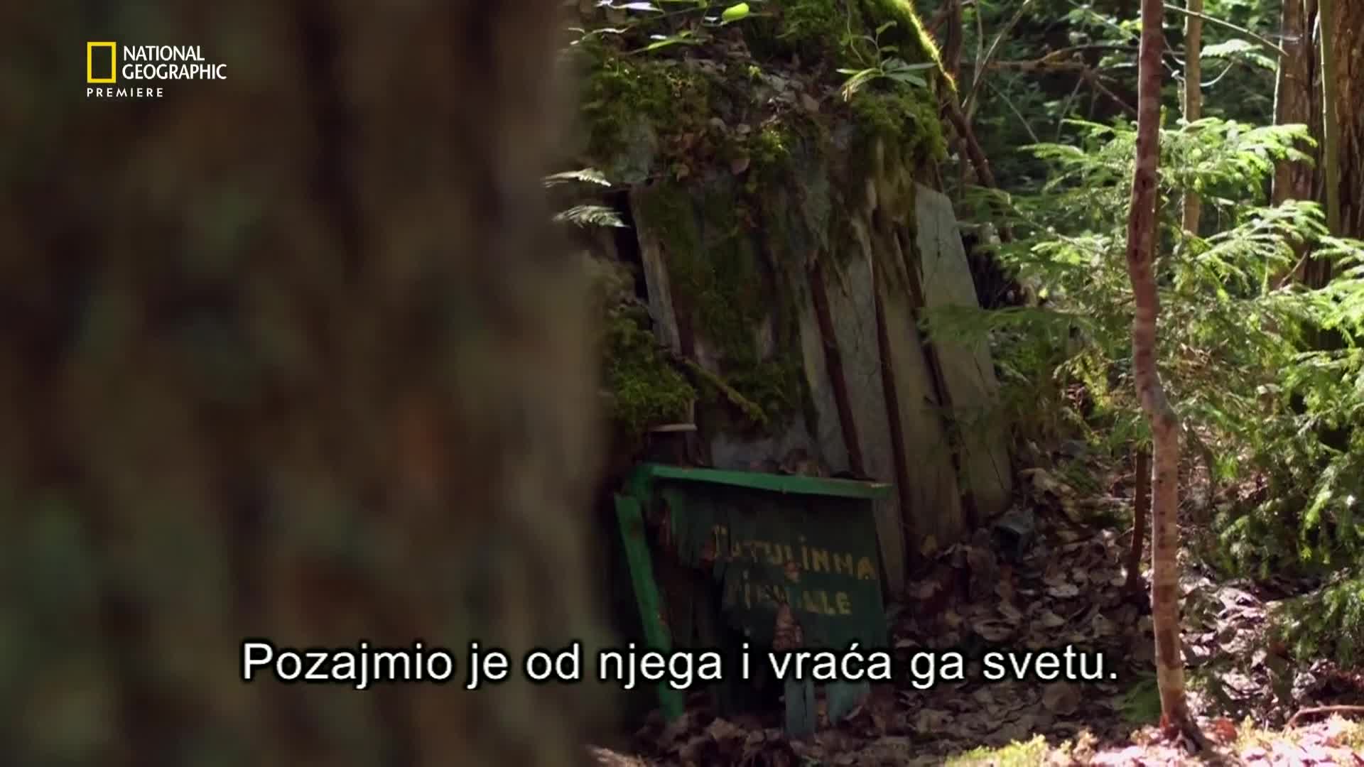 Premium10