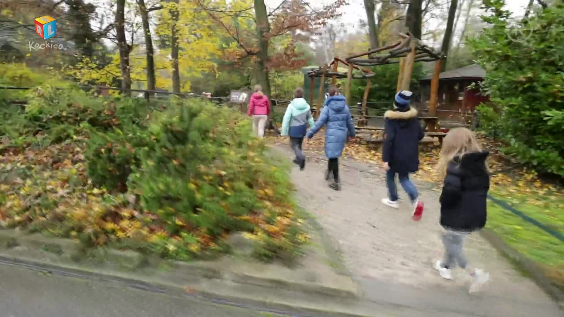 RTLKockica