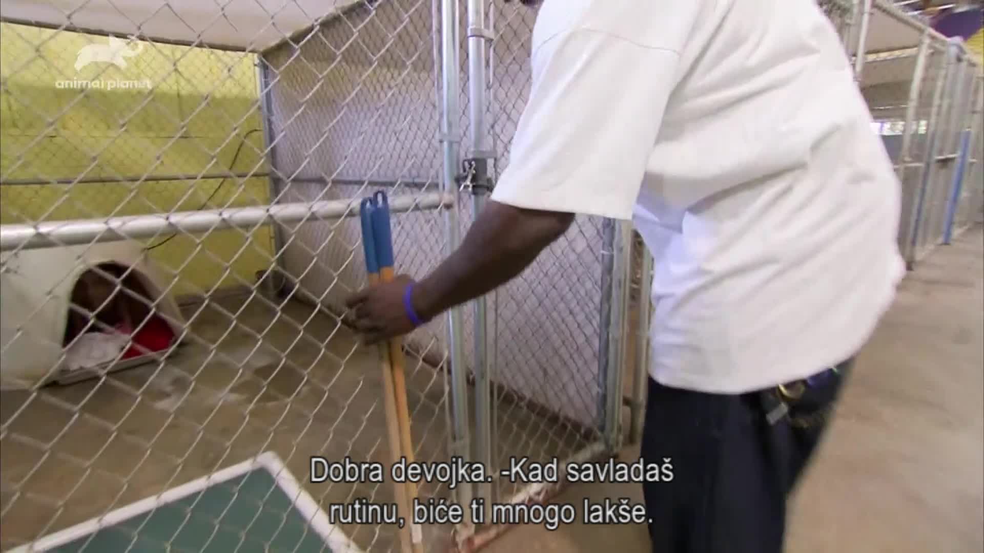AnimalPlanet