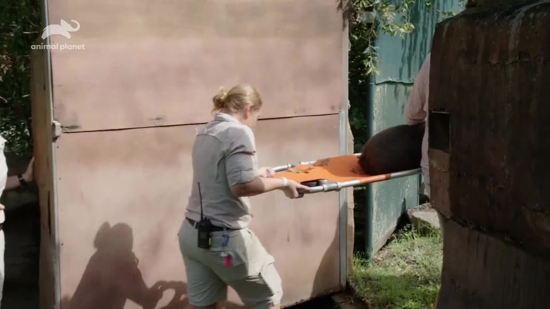 AnimalPlanet