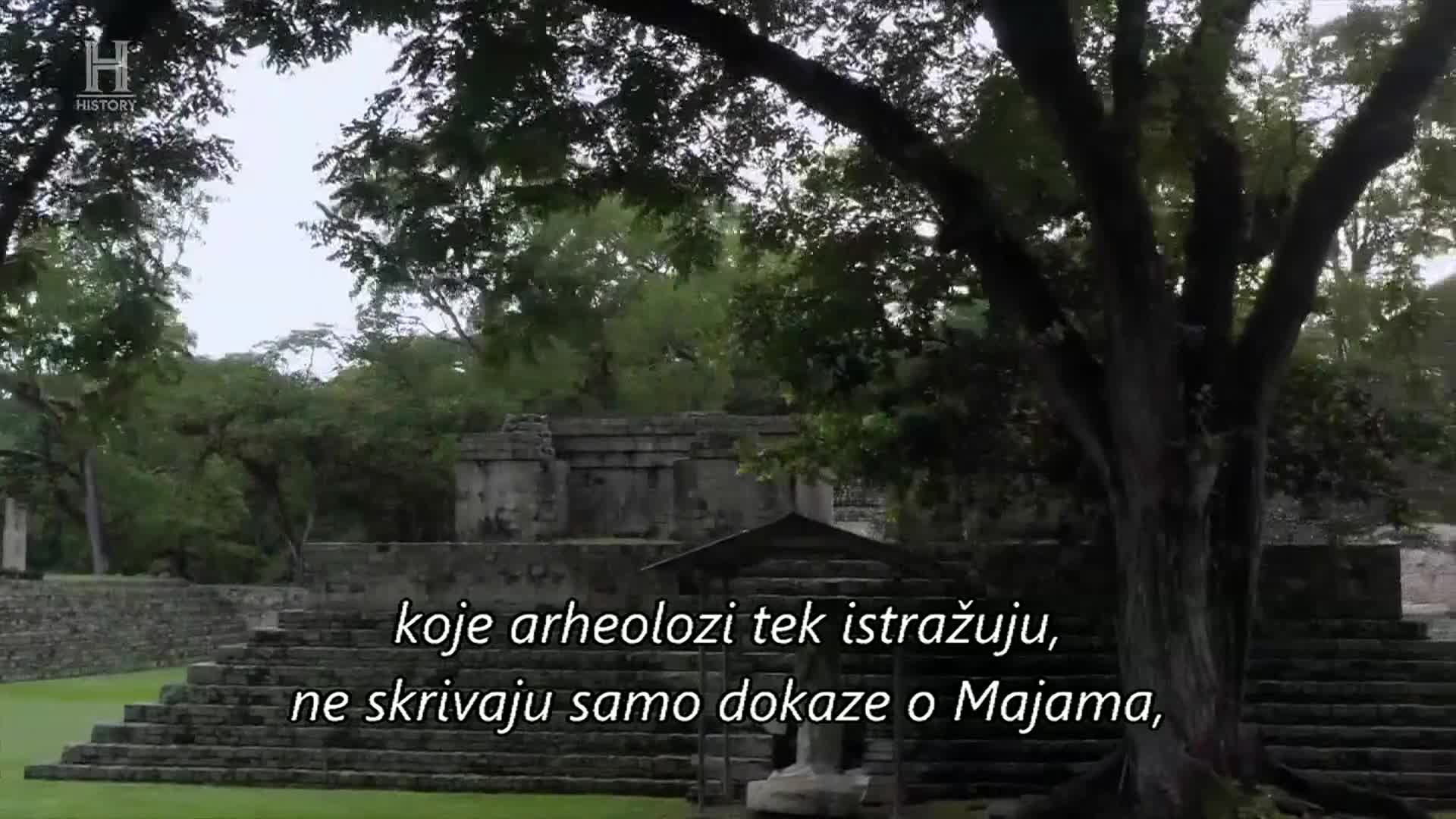 History