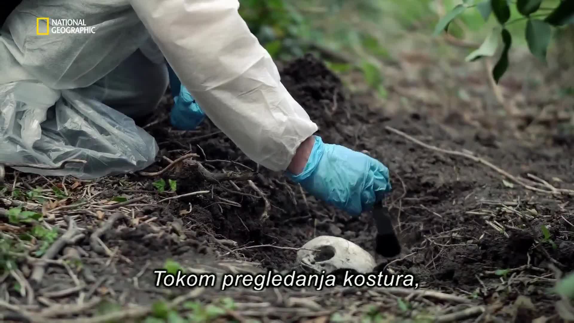Premium10