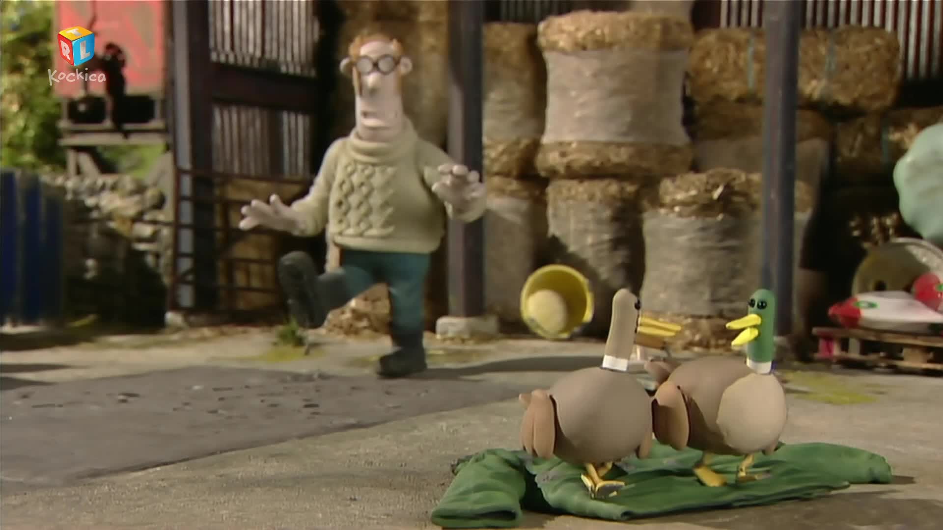 RTLKockica