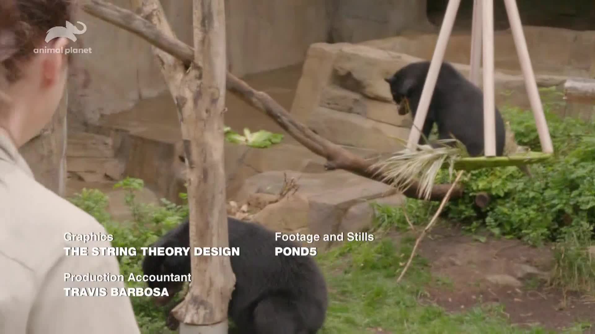 AnimalPlanet