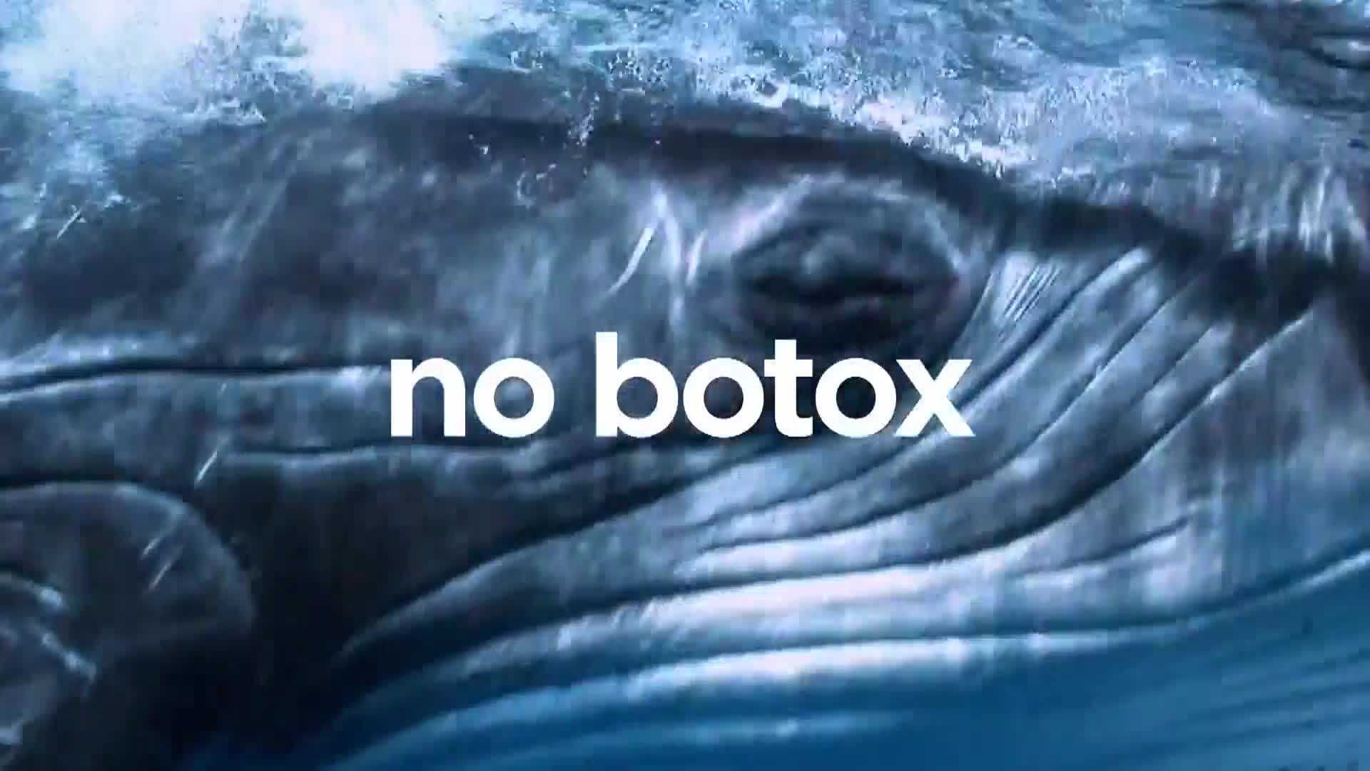 AnimalPlanet