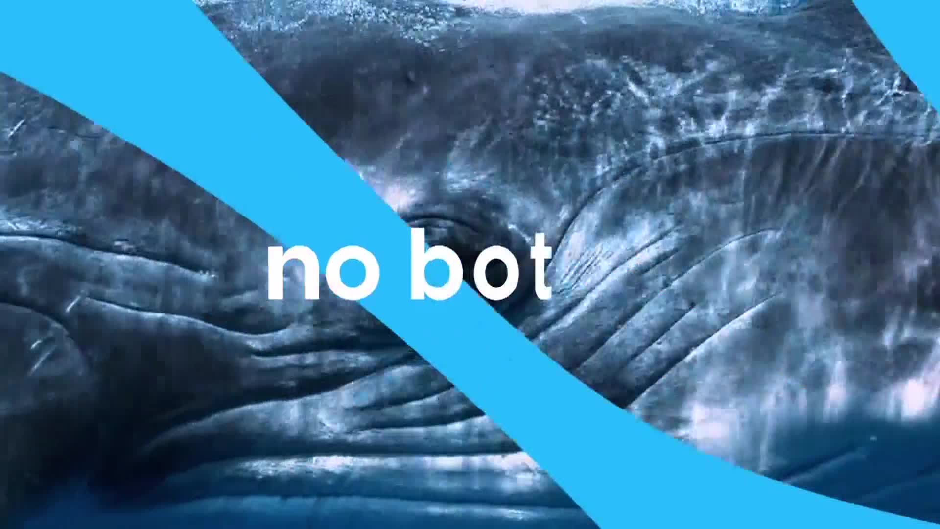 AnimalPlanet