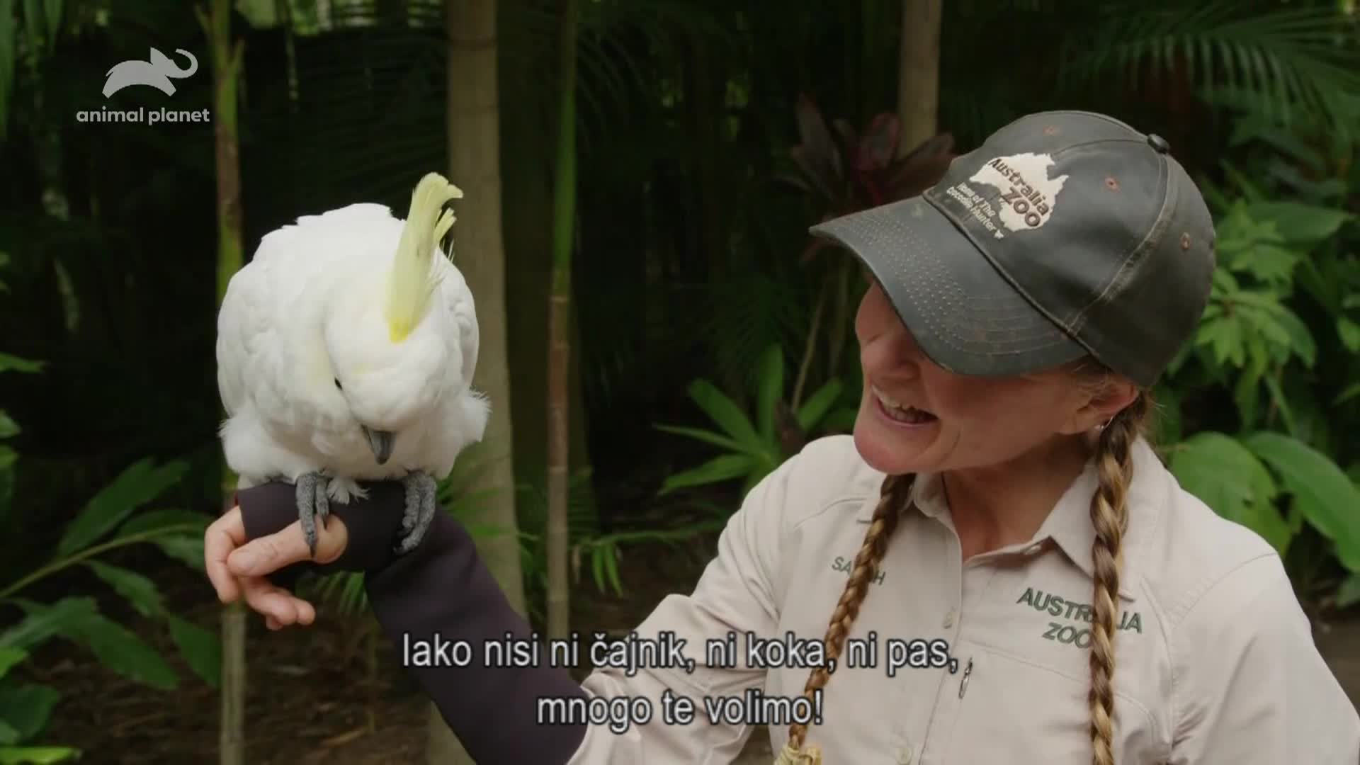 AnimalPlanet