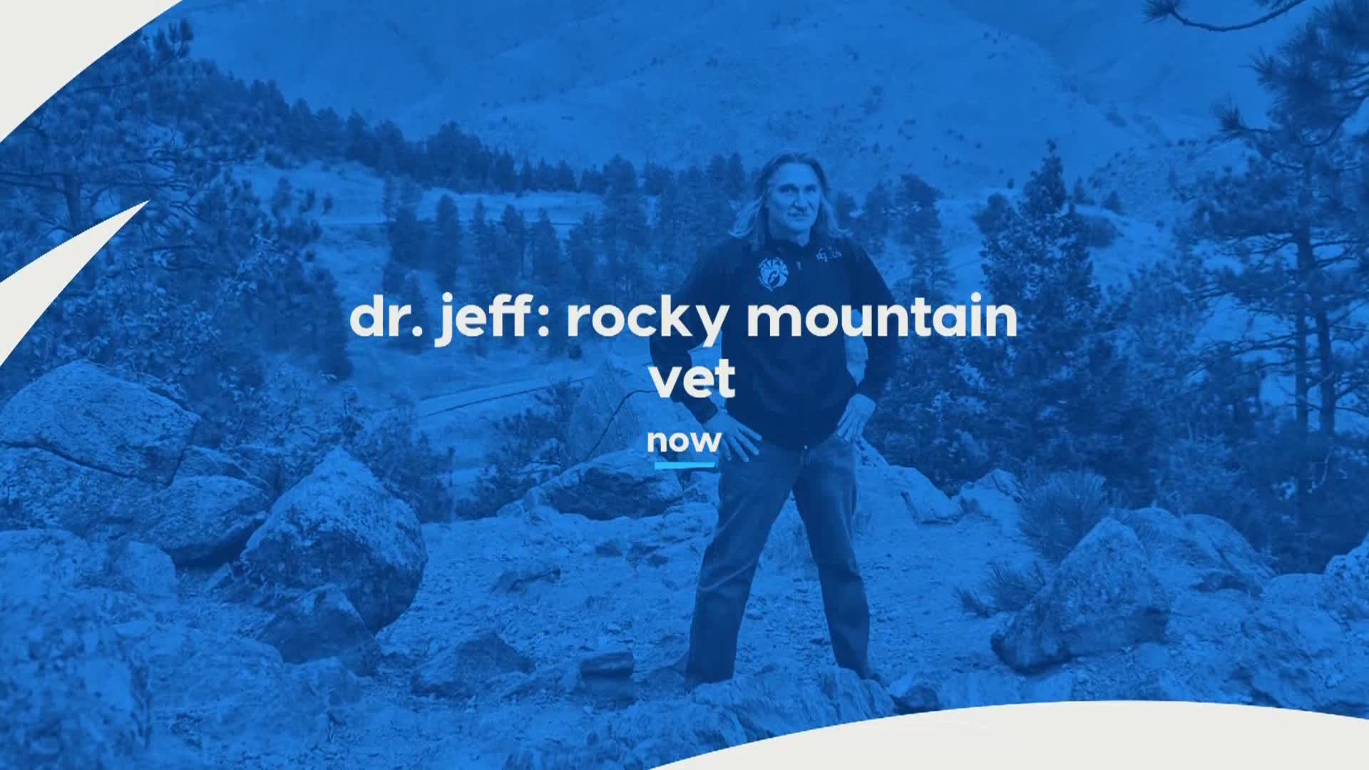 AnimalPlanet