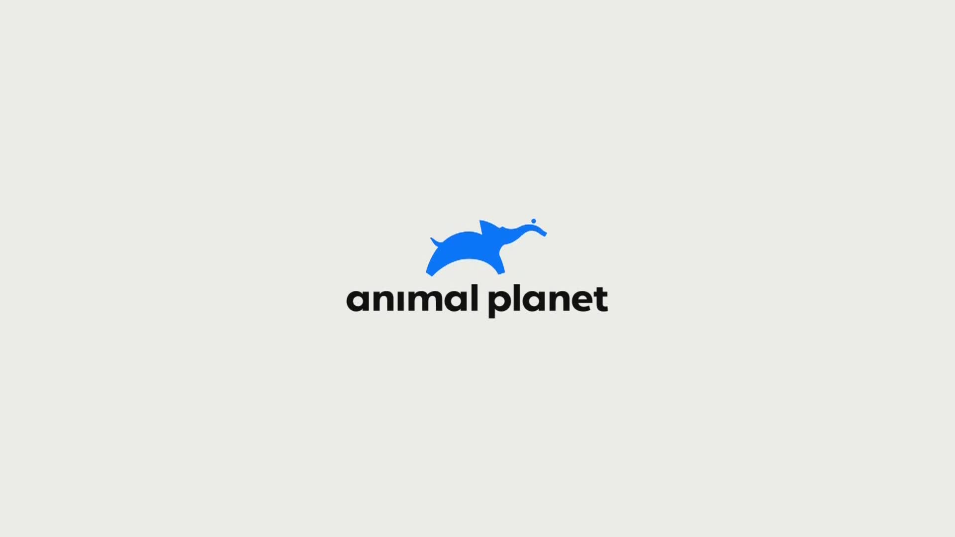 AnimalPlanet