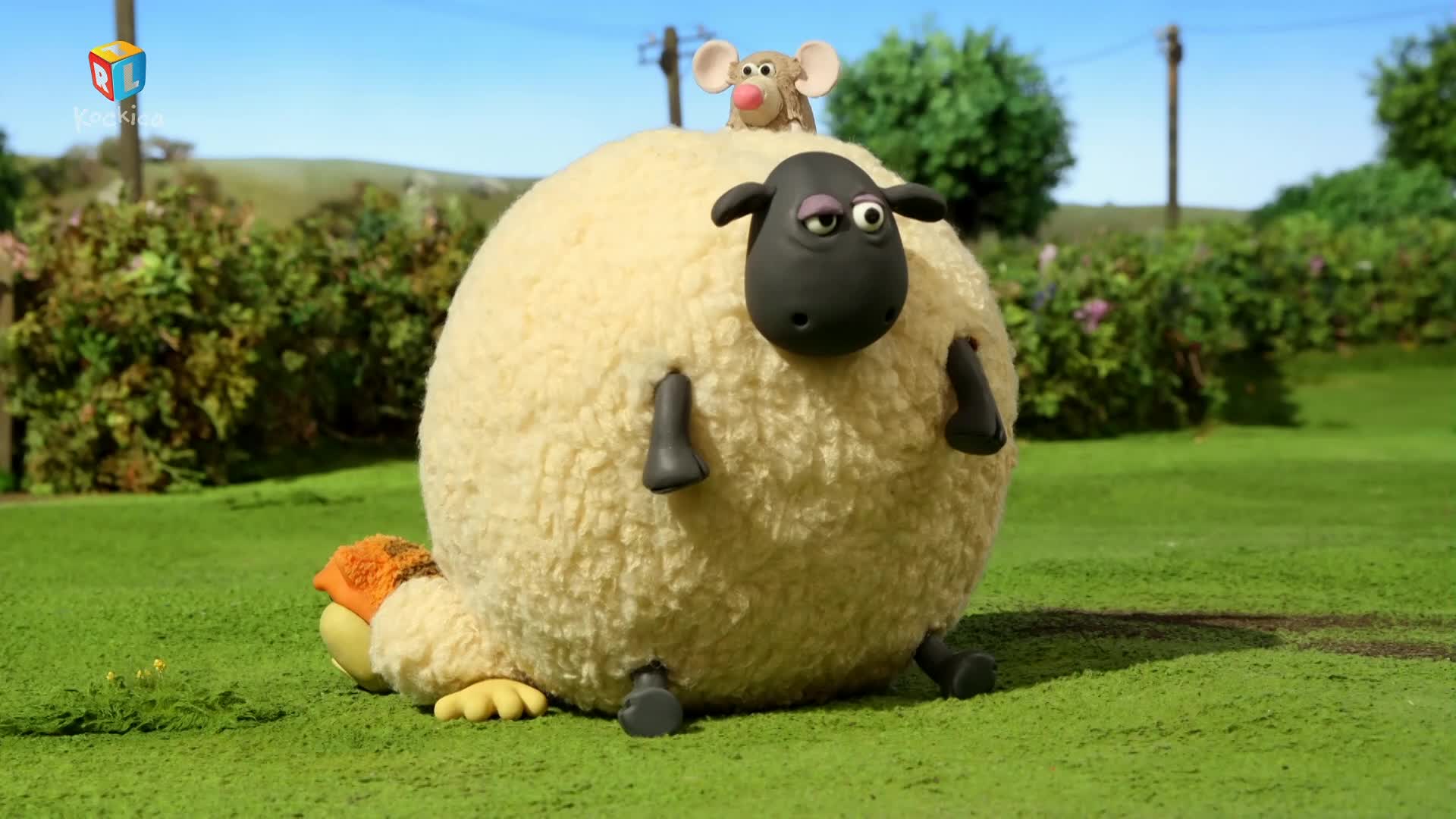 RTLKockica