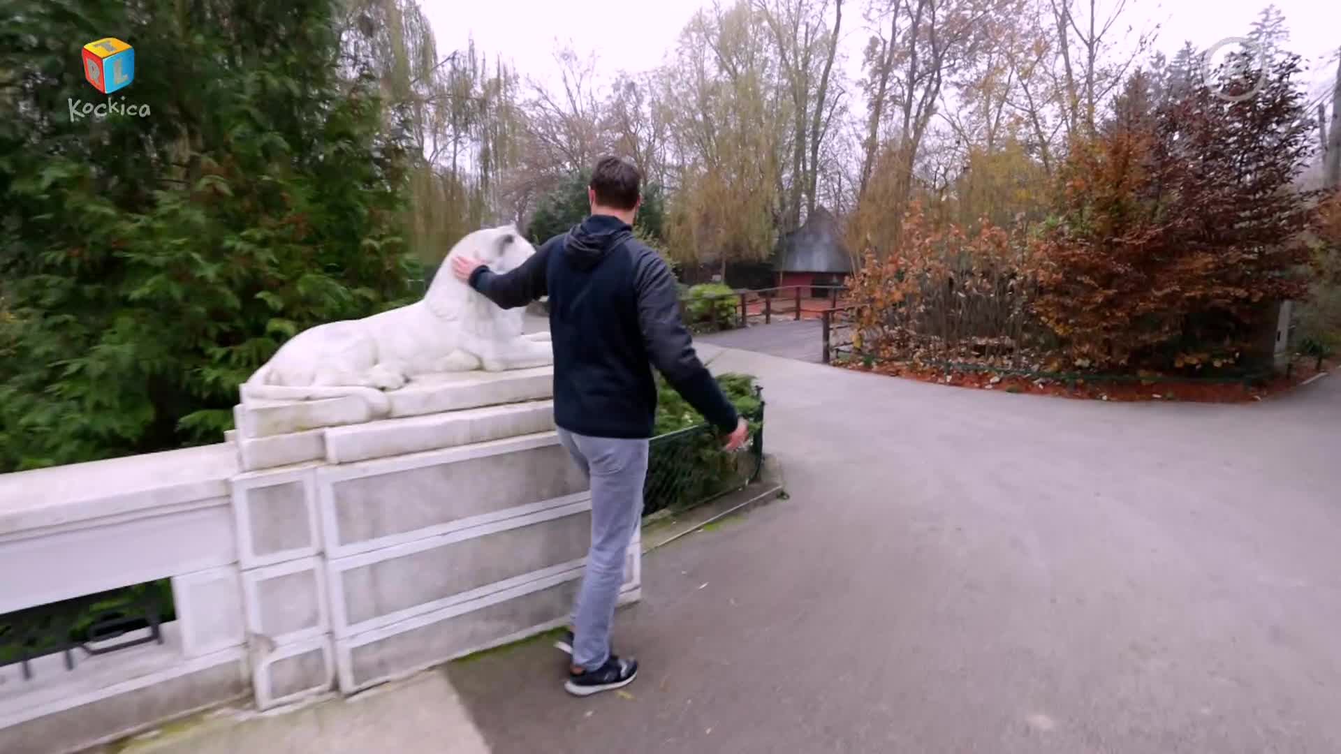 RTLKockica