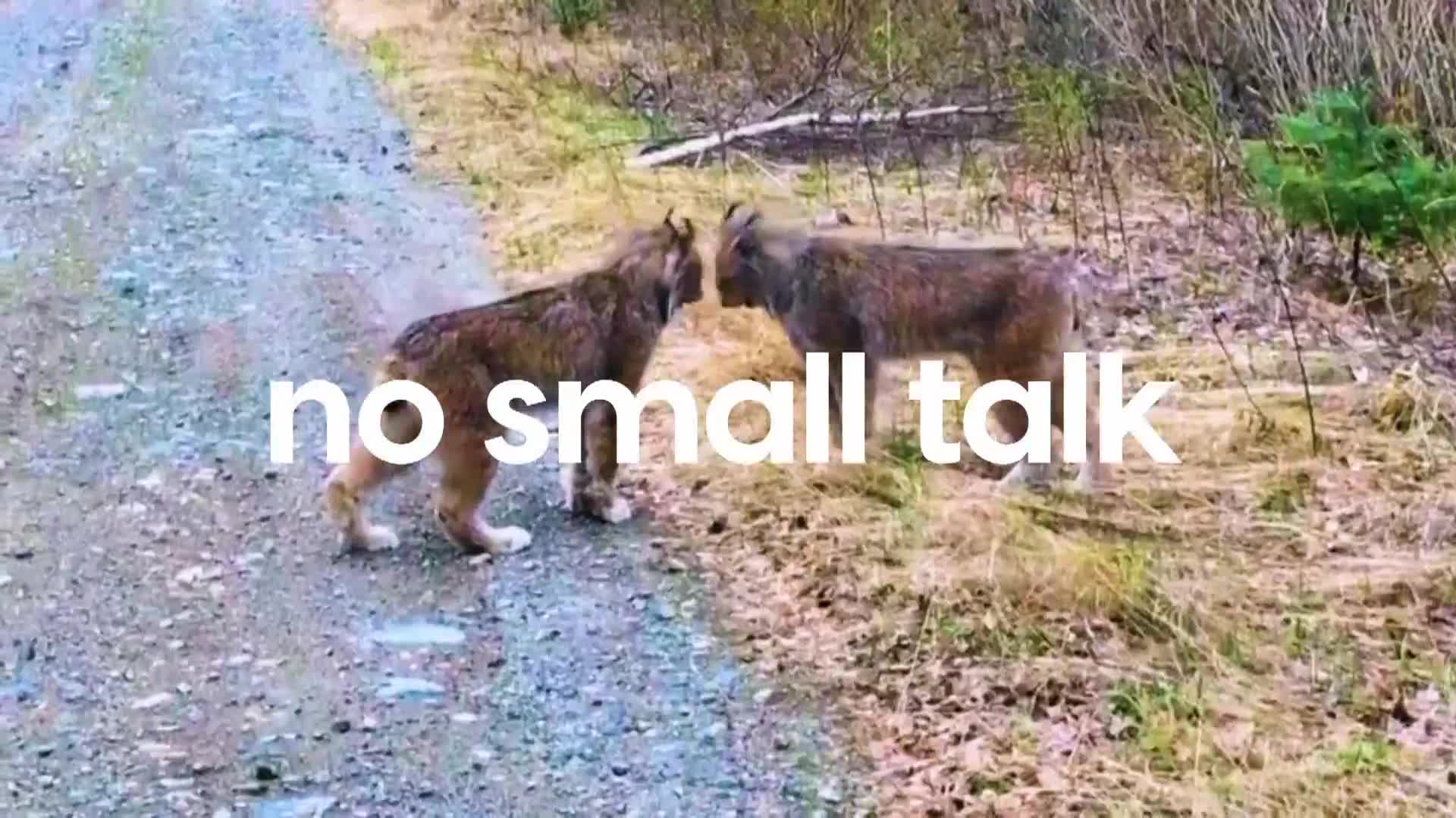 AnimalPlanet