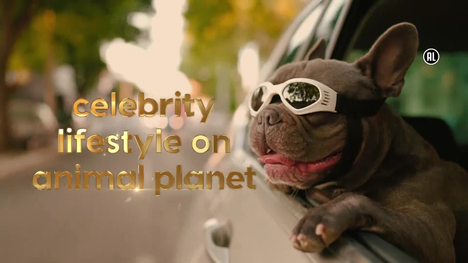 AnimalPlanet