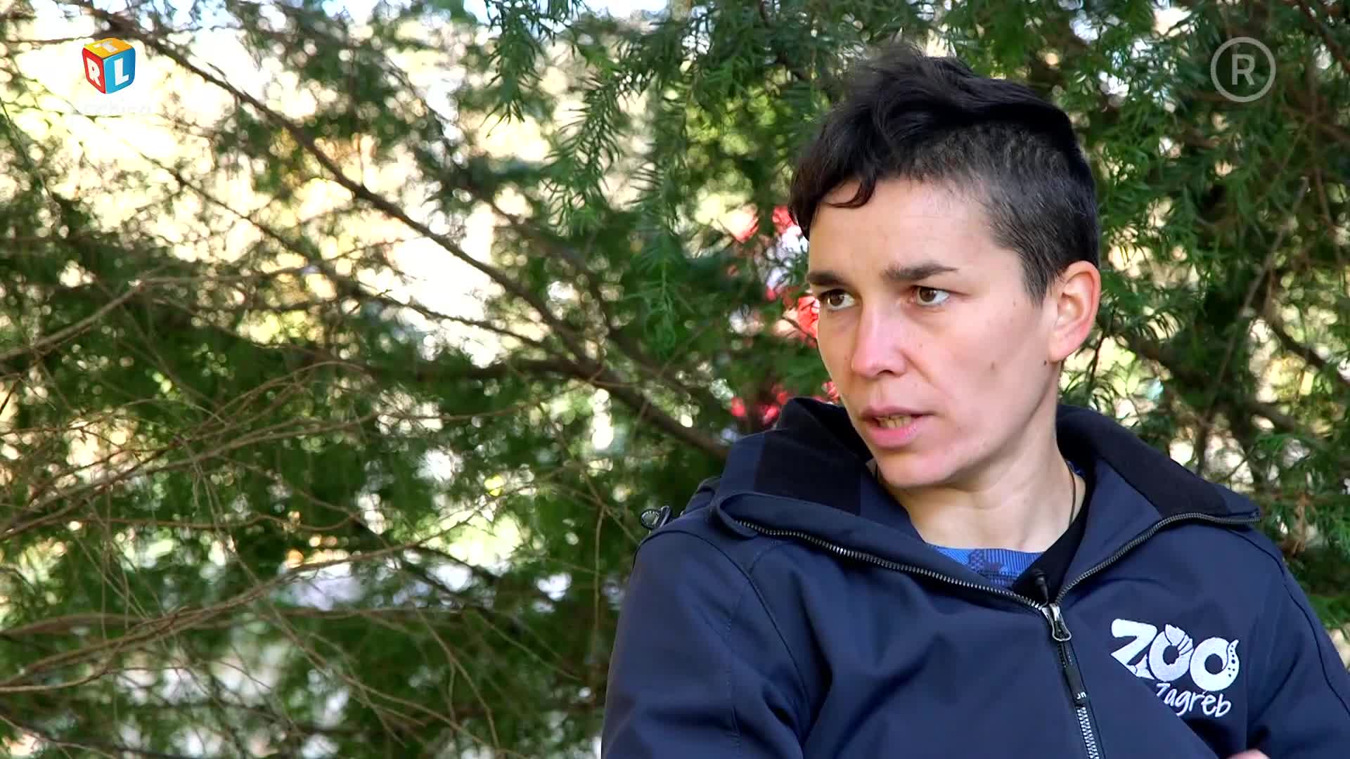 RTLKockica