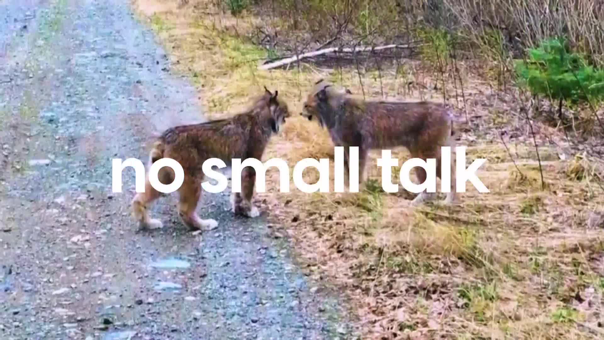 AnimalPlanet