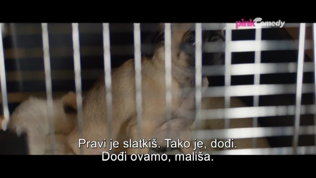 PinkComedy