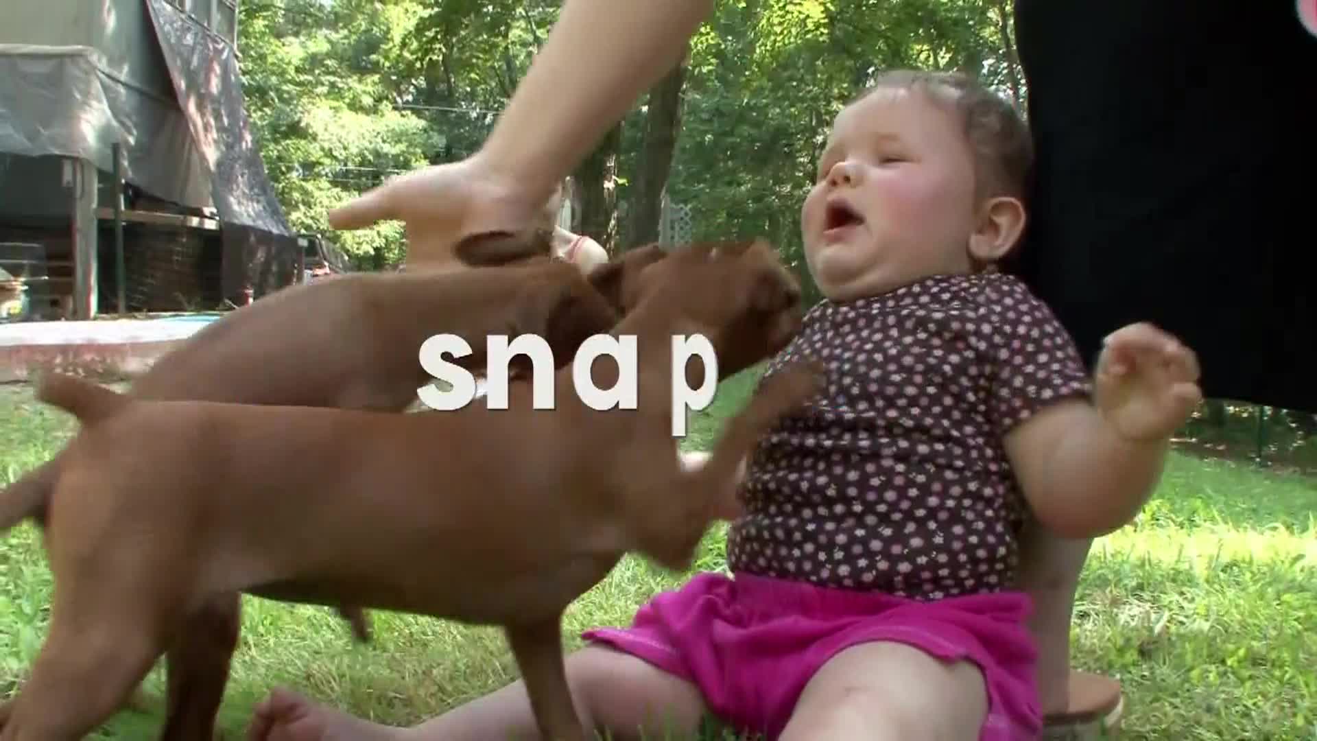 AnimalPlanet