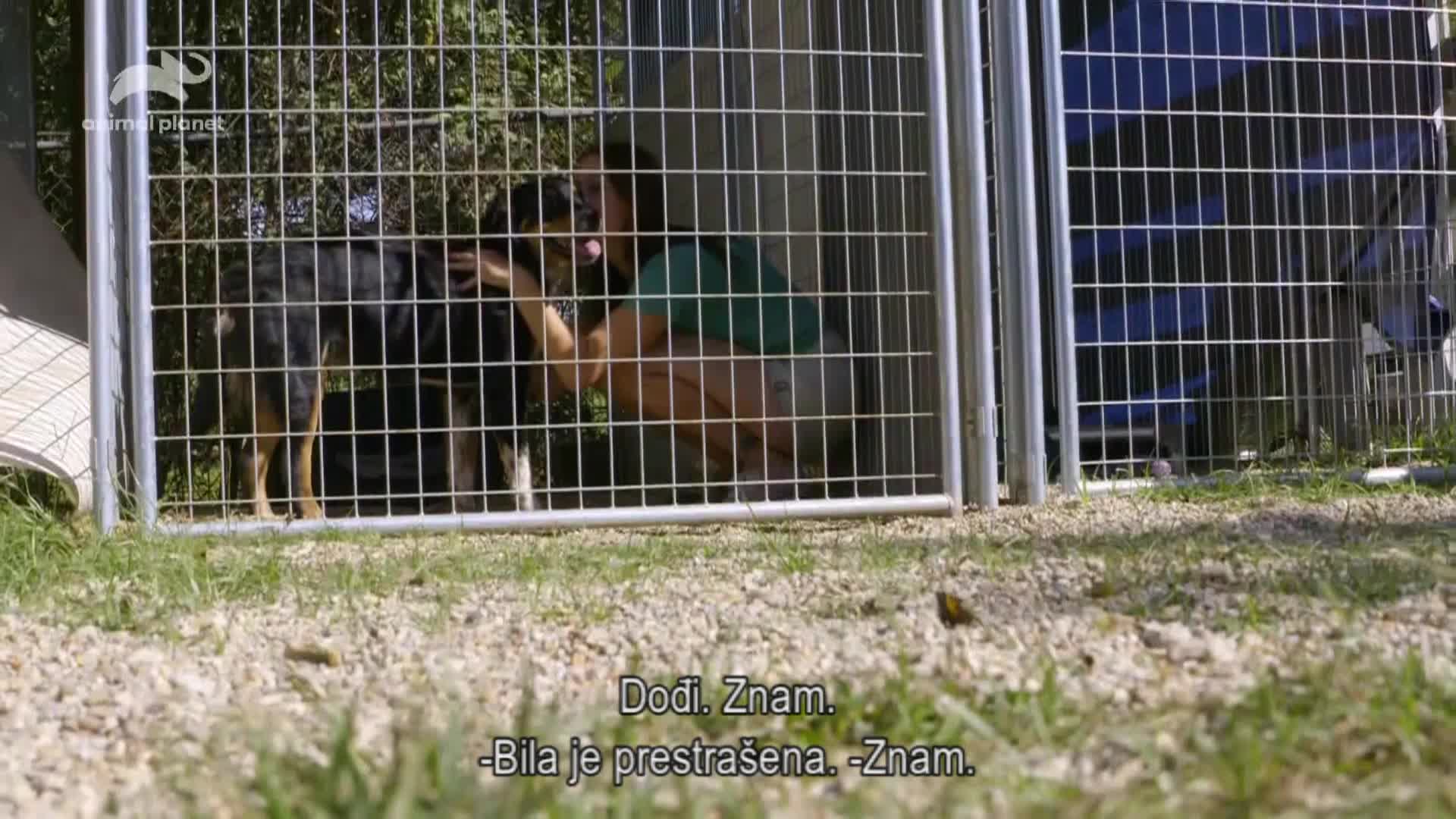 AnimalPlanet