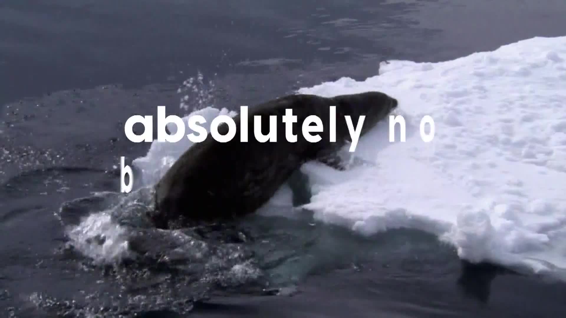 AnimalPlanet