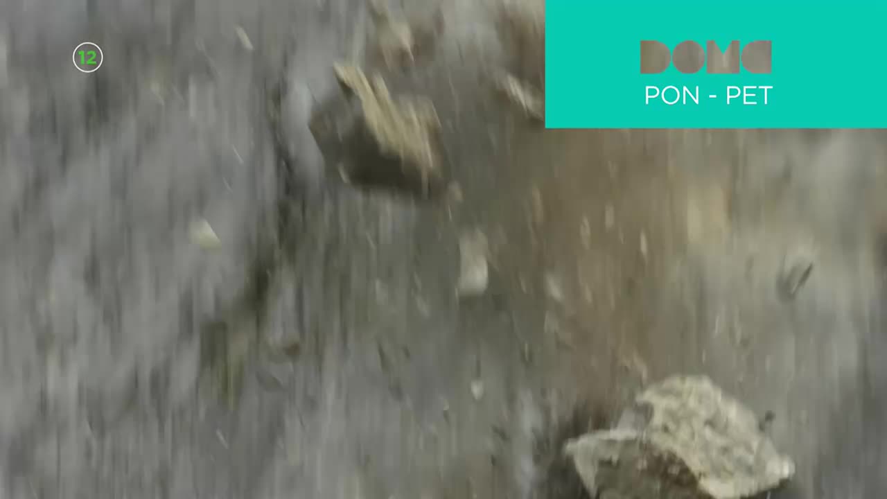 DomaTV