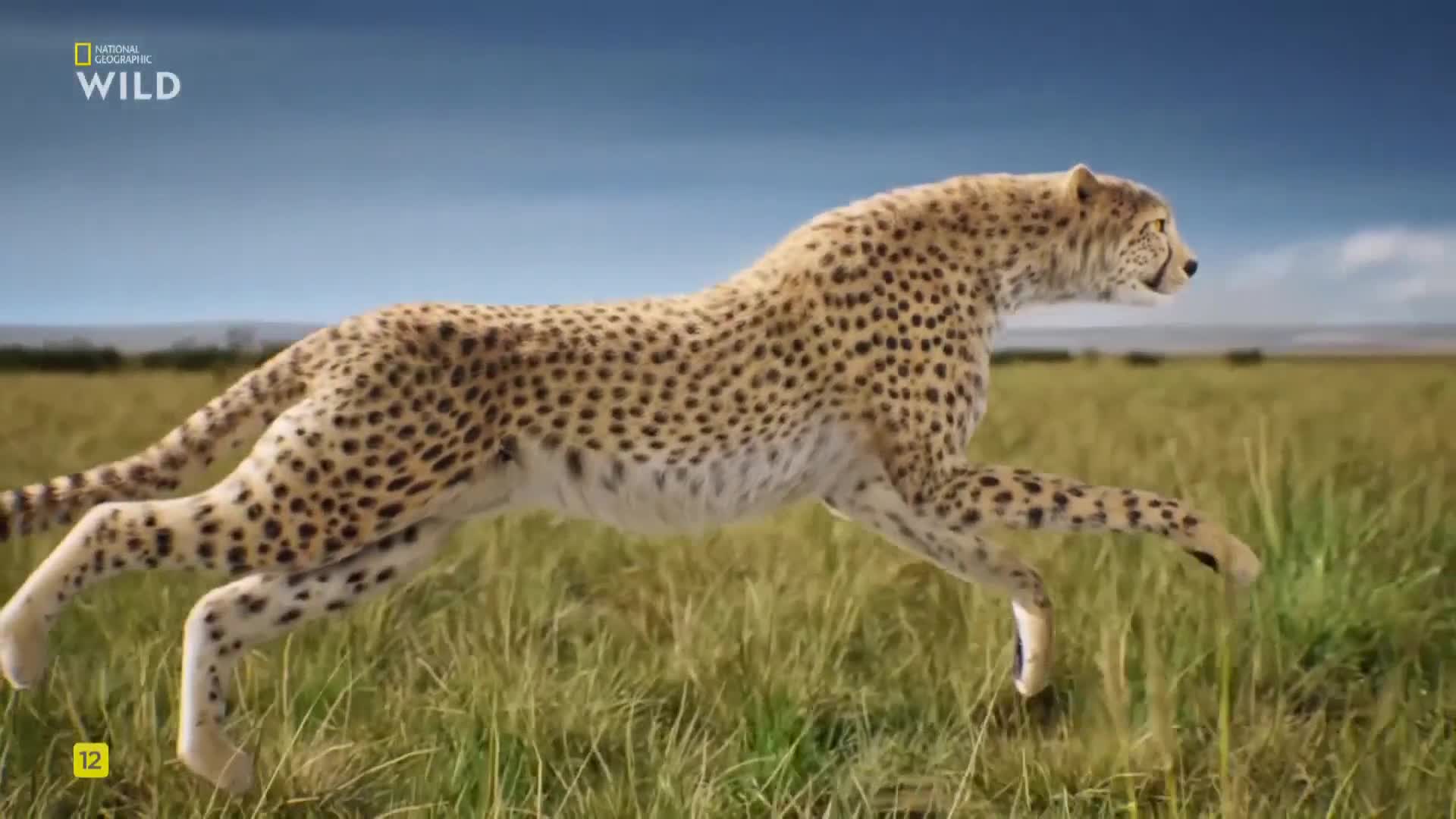 Premium9