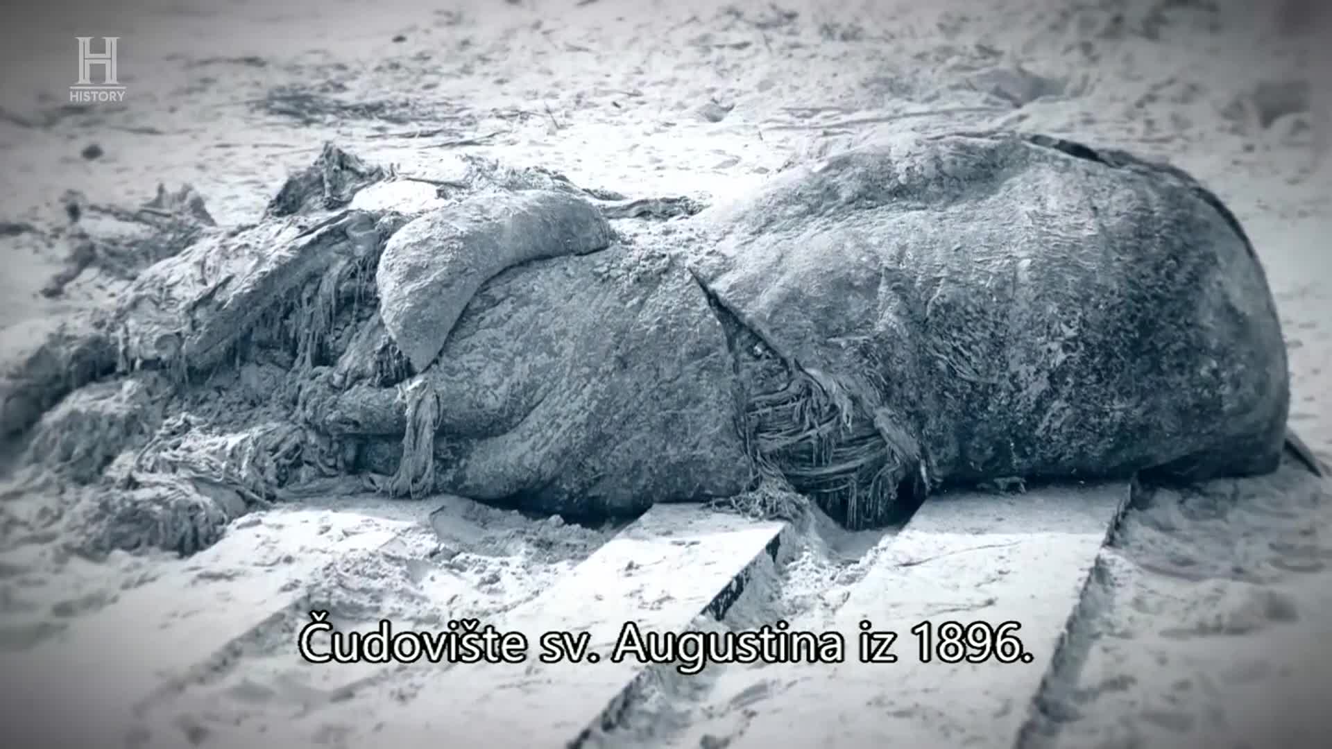 History