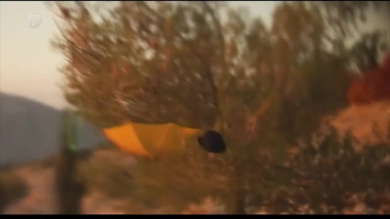 FTV