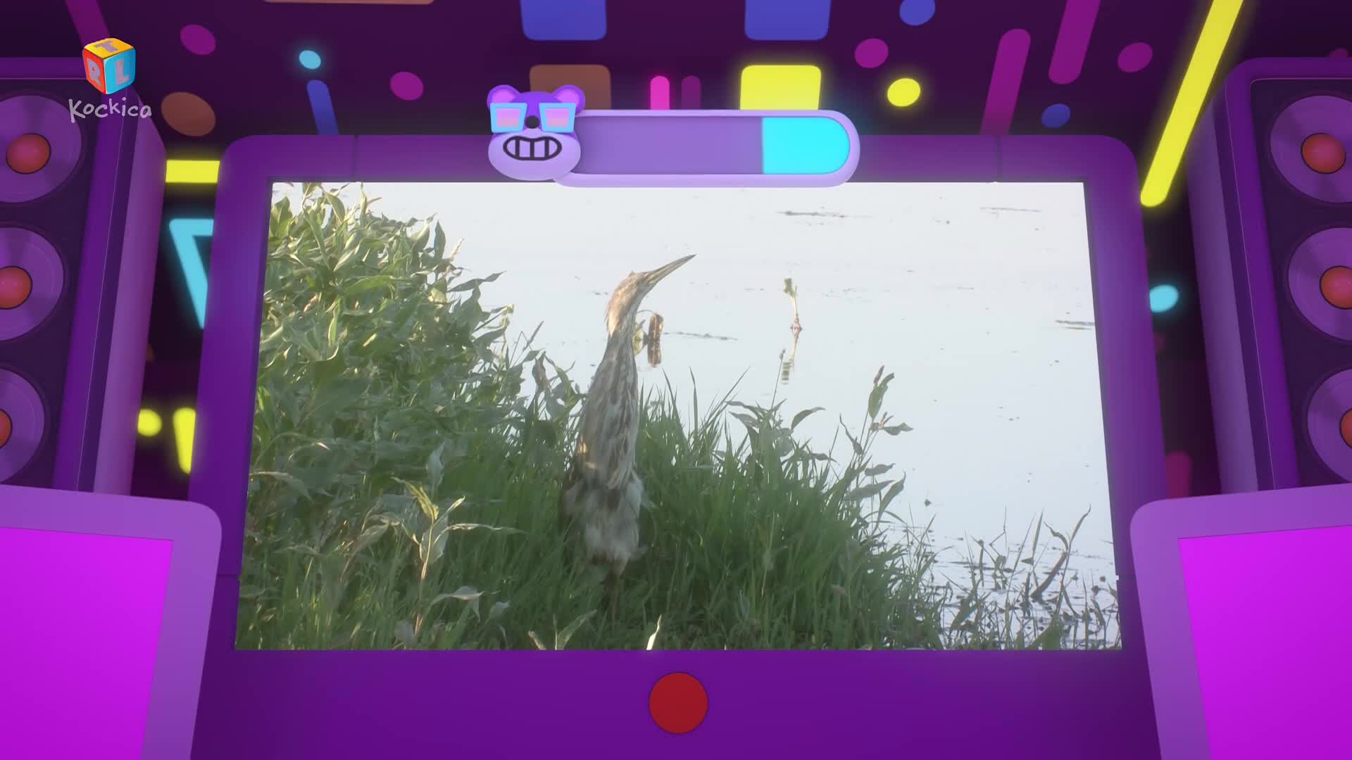 RTLKockica