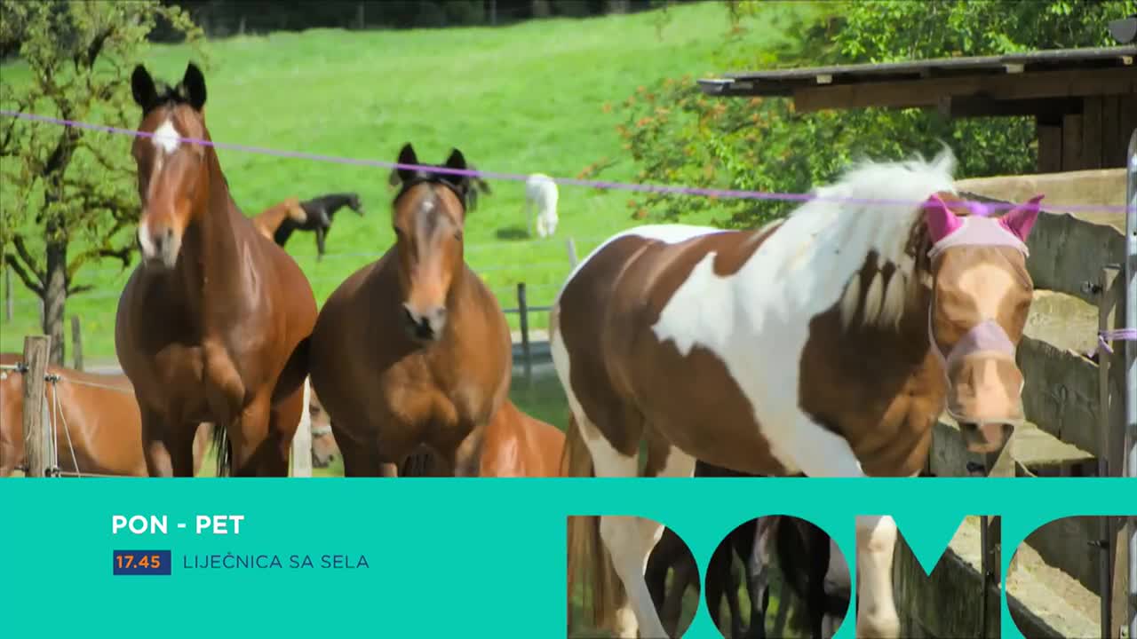 DomaTV