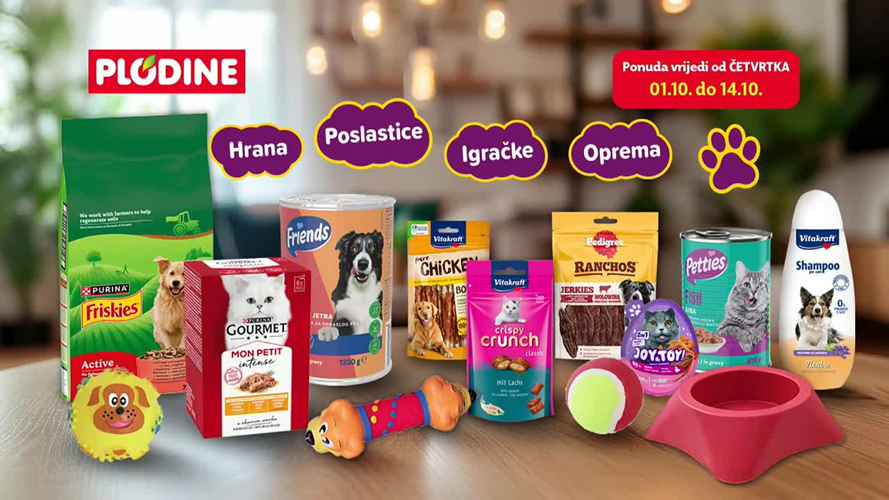 DomaTV