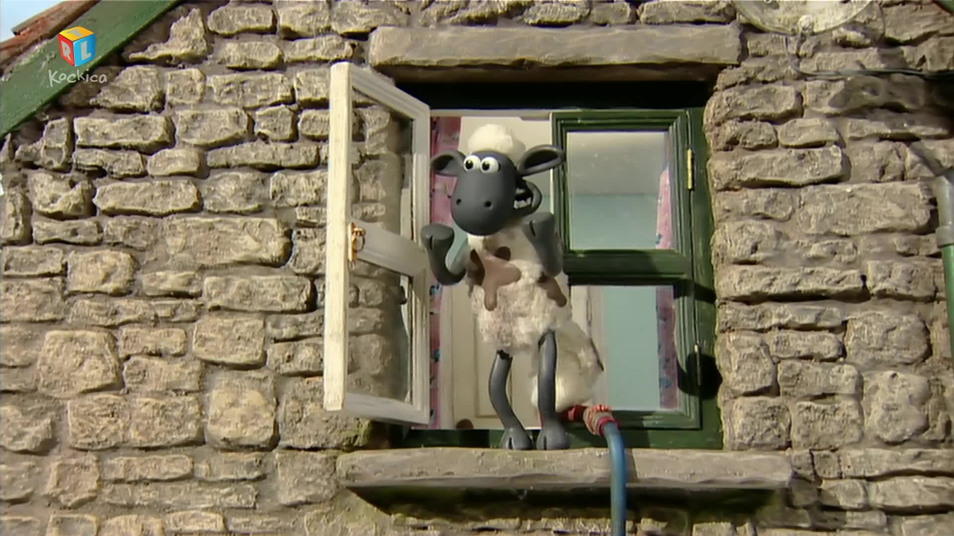 RTLKockica