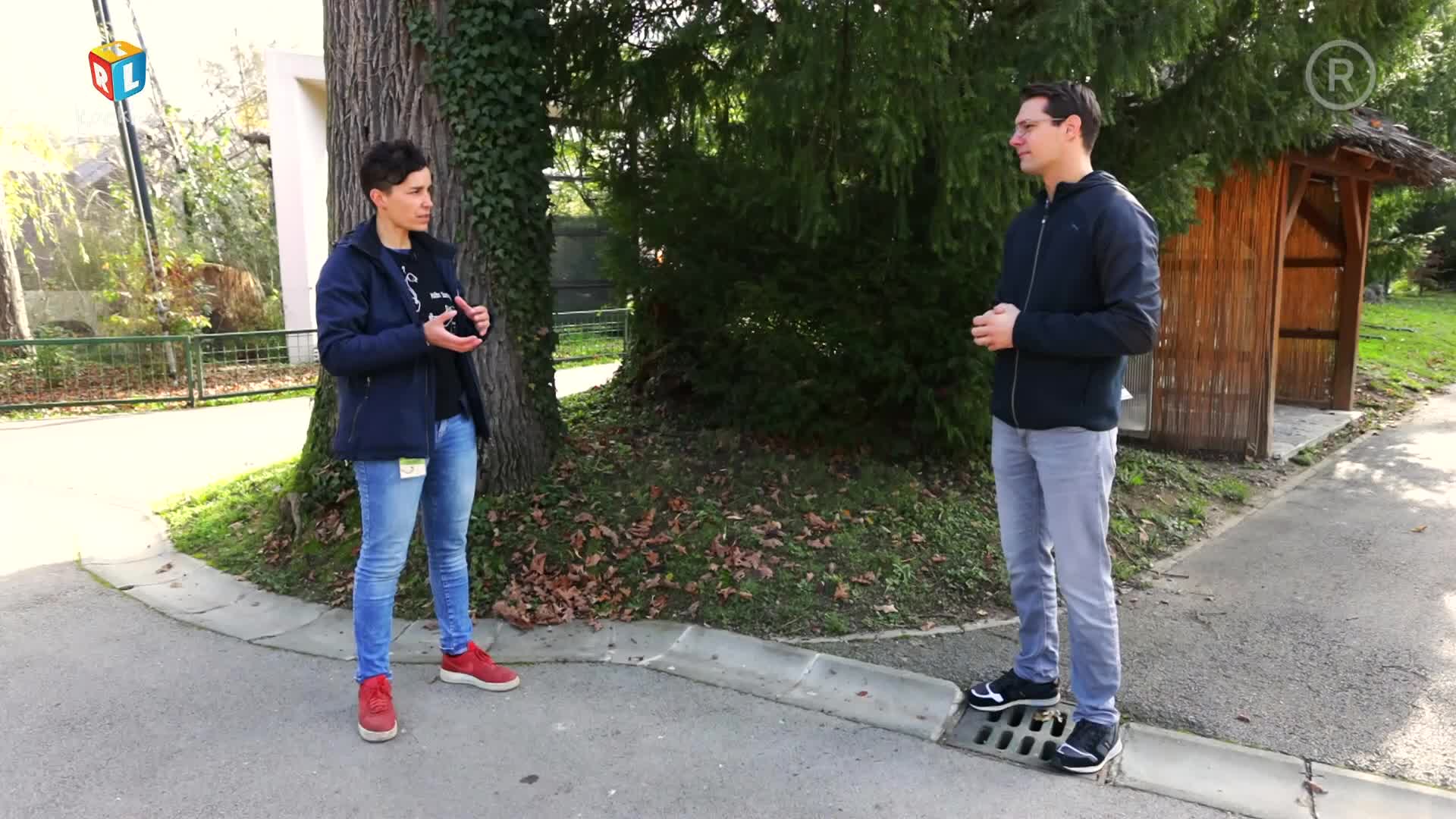 RTLKockica