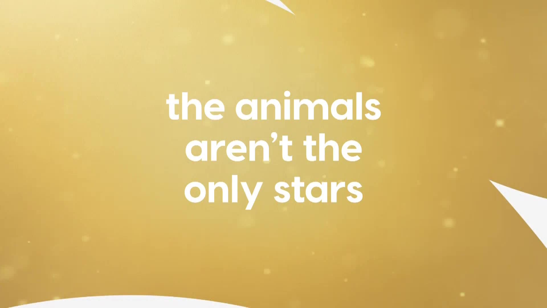 AnimalPlanet