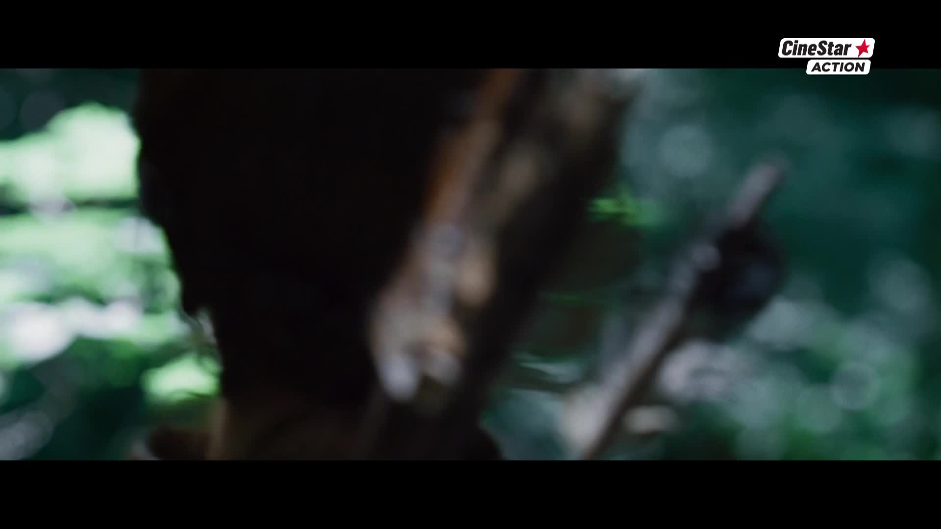 CinestarAction