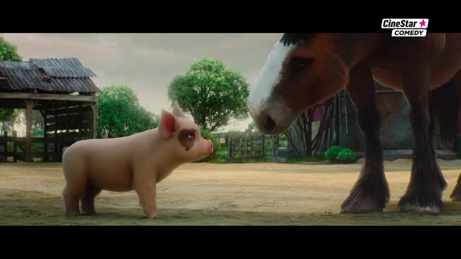 CinestarComedy