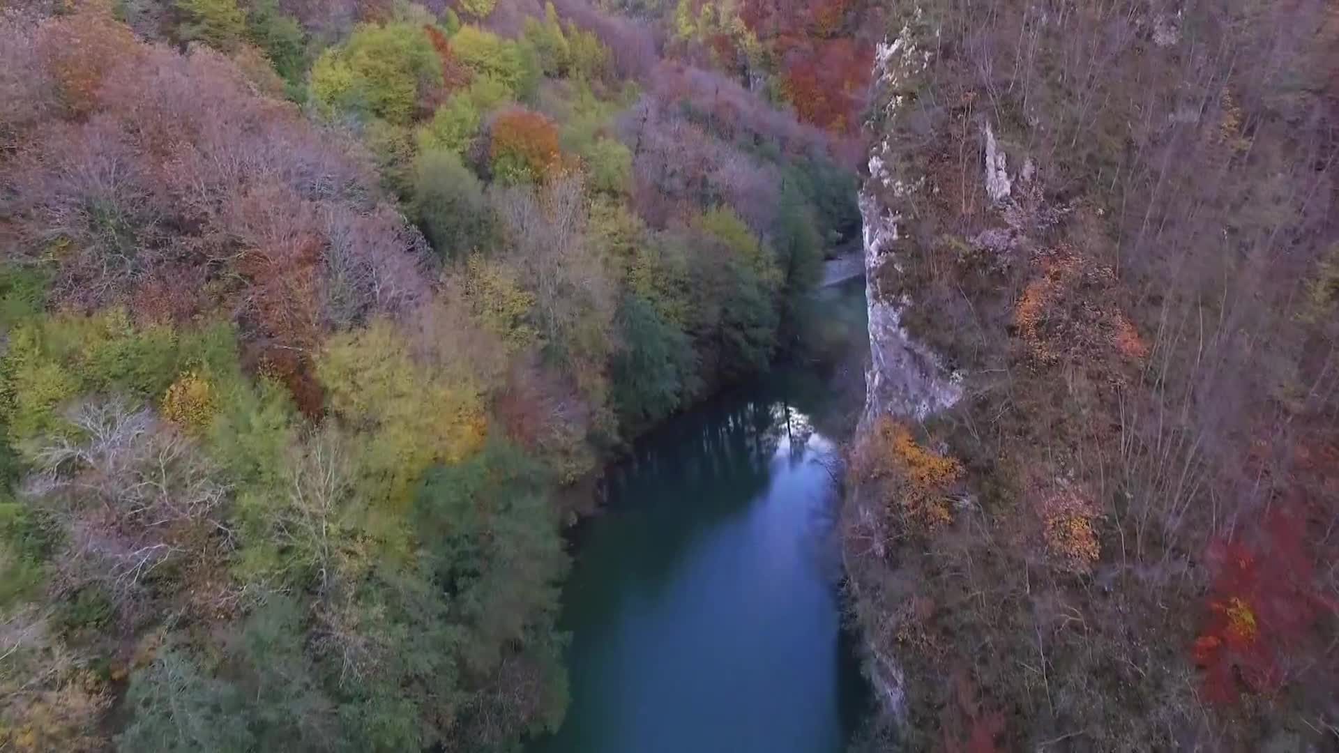 DokuTV