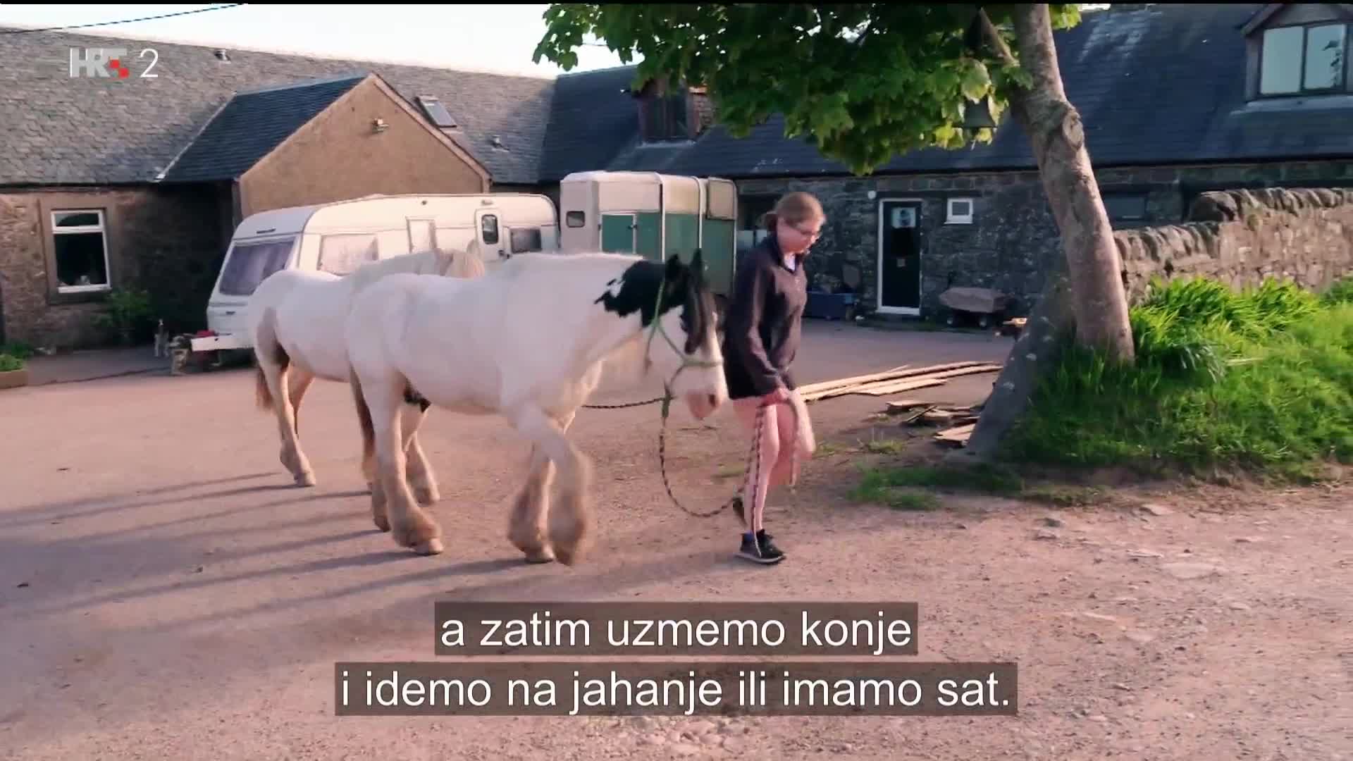 HRT2