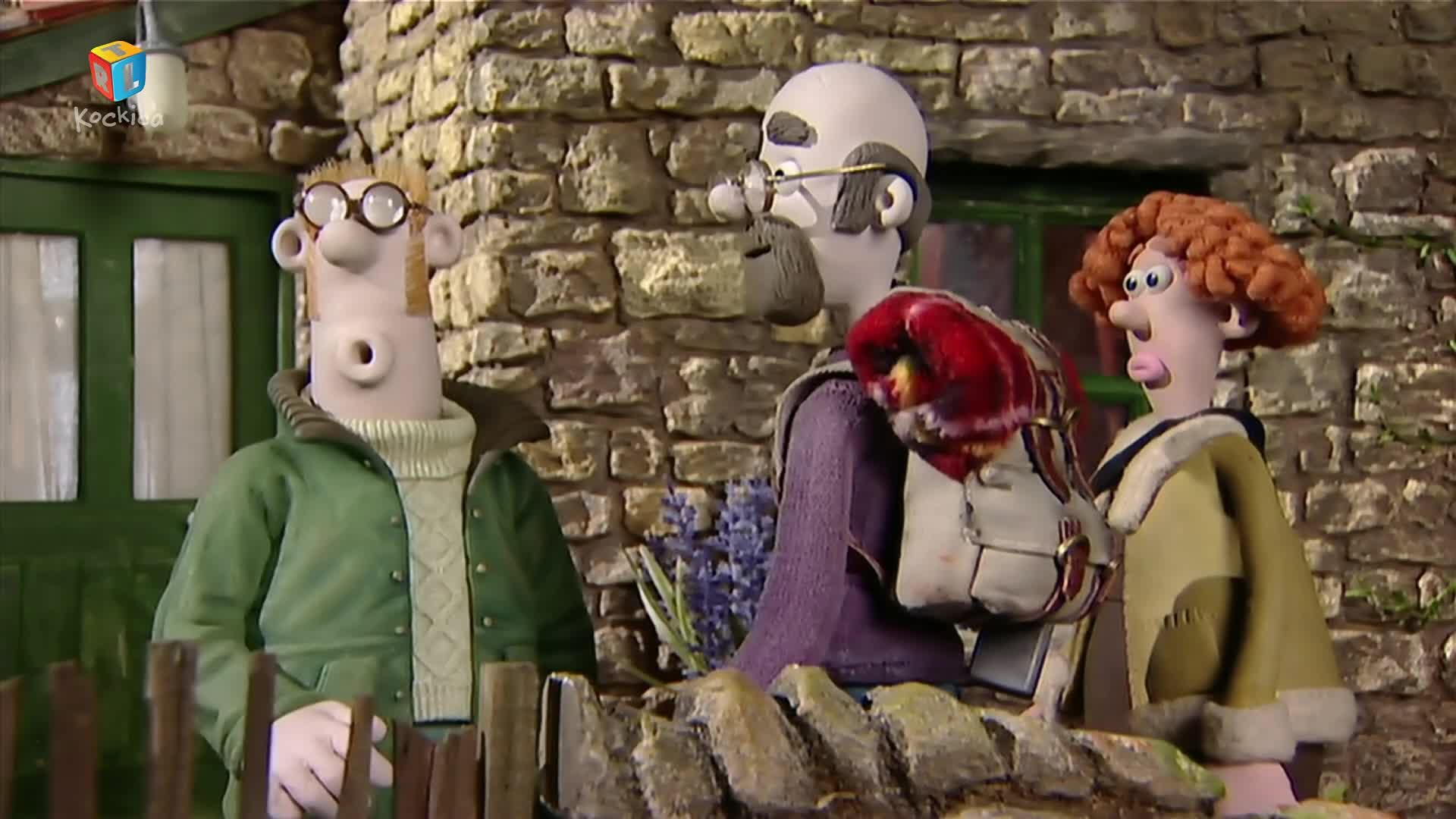 RTLKockica