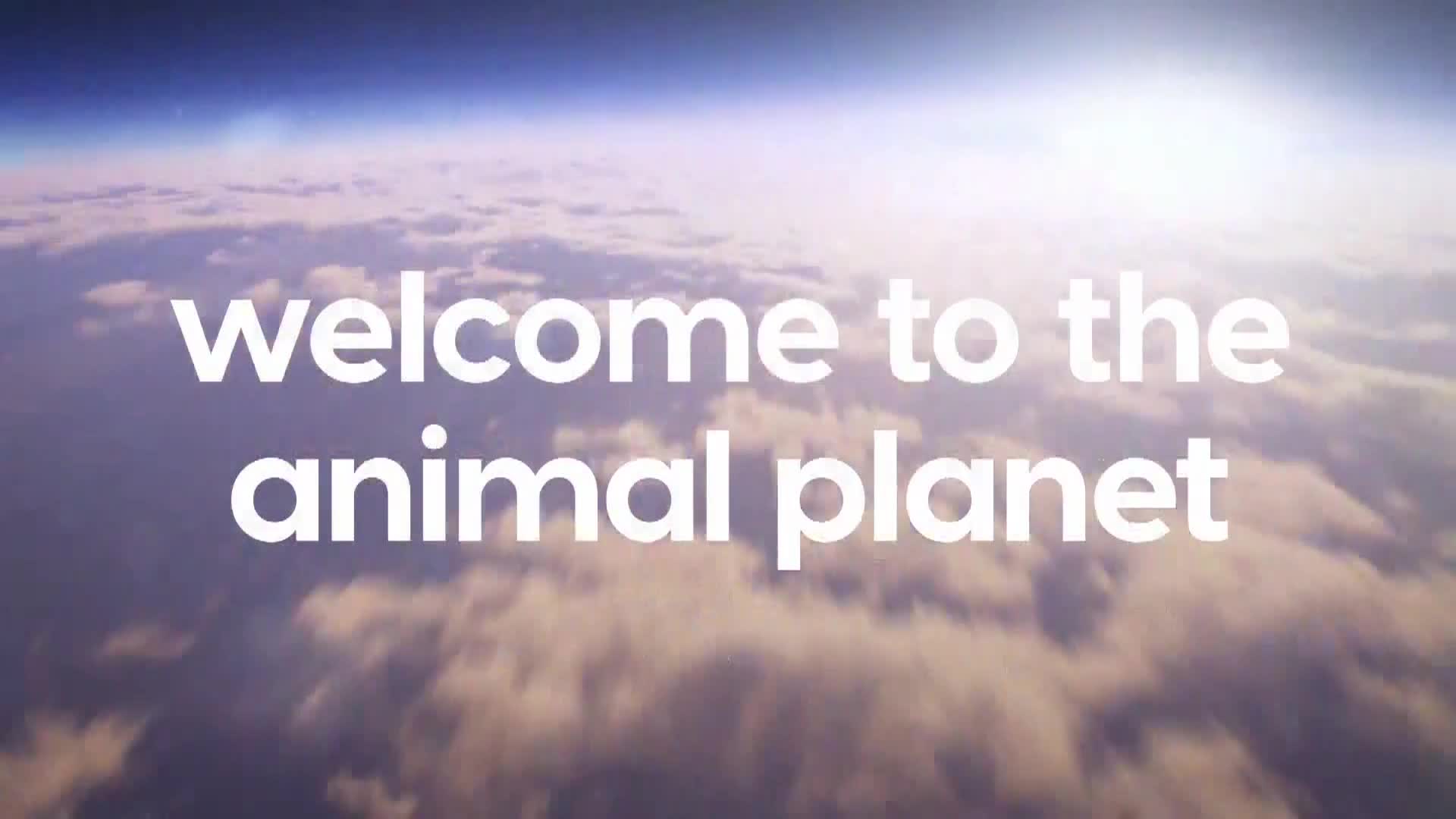 AnimalPlanet